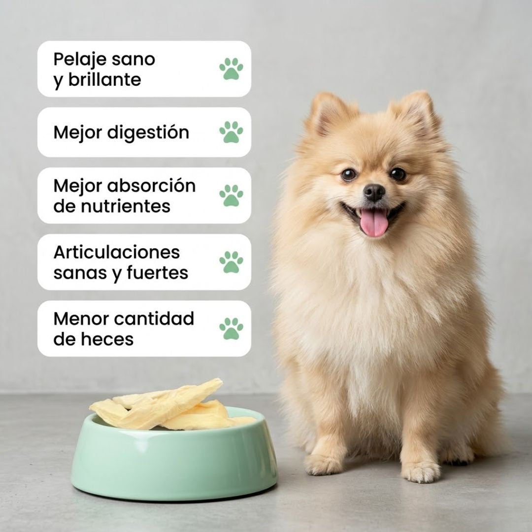 Snacks de Pechuga de Pollo 100% Natural